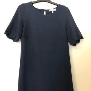 Short Navy Dress